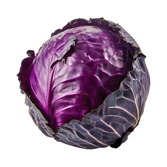 Obraz premium Purple Cabbage With White Veins, Without Shadow, Blank Isolated Background
