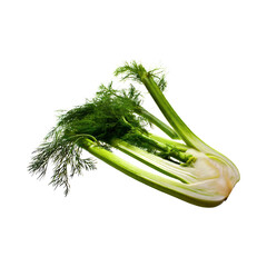Bunch Of Sliced Of Fennel Blub, Without Shadow, Blank Isolated Background