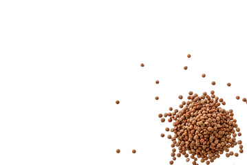 Closeup of a pile of organic uncooked lentils isolated on a transparent background without shadow...
