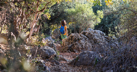 A boy with a backpack walks through the forest.  a child explores the wild nature, a cheerful child walks along a path among the trees.