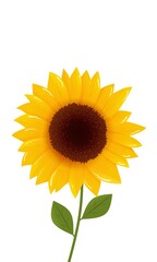 Sunflowers beautiful backround,frame,ornament illustration