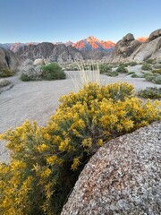 Eastern Sierra Sunrise