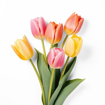 bouquet of tulips on isolate transparency background, PNG