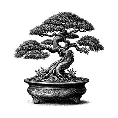 Artistic Hand Drawn Bonsai Tree Line Art Vector