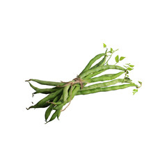 Bunches Of Fresh Long Beans, Without Shadow, Isolated Transparent Background