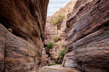 A small  shallow stream flows between high rocks with beautiful natural patterns on their walls along hilking trail in the Wadi Numeira gorge in Jordan