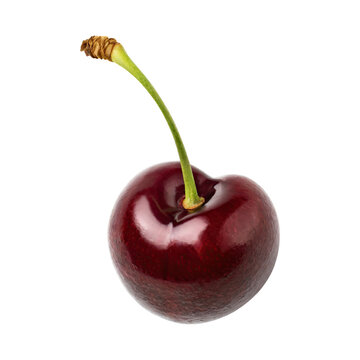 Floating Of One Cutcherry, Without Shadow, Isolated Transparent Background
