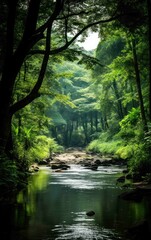 Lush Riverbank in a Verdant Forest