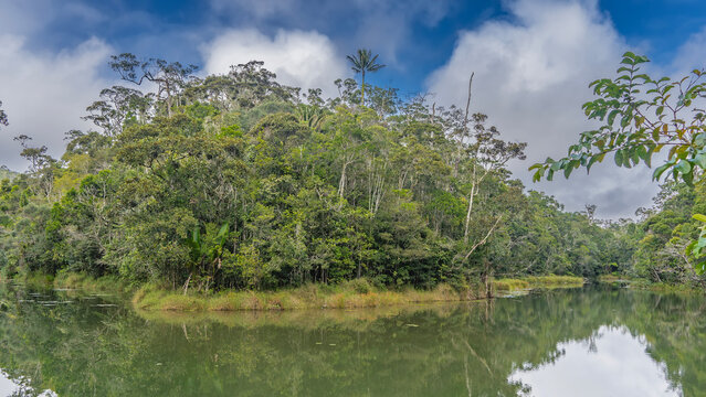 A calm river winds through a tropical rain forest. Impenetrable thickets of trees on the shore. Clouds in the blue sky. A mirror image on the water. Madagascar. Vakona Forest Reserve