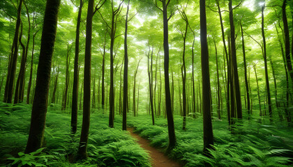 Lush Green Forests: Explore dense and vibrant forests, emphasizing nature and biodiversity.