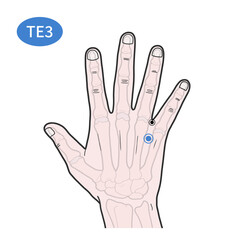 중저 경혈 경락 혈자리 일러스트