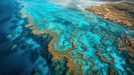 Fototapeta na wymiar Aerial view of coral reef with turquoise sea water. Seascape with coral reef. Top view.