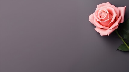 Vertical shot of beautiful pink rose with copy space, AI Generative