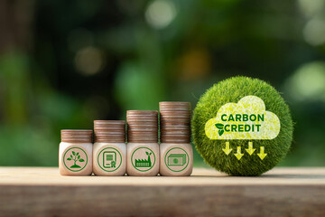 Carbon credit and CO2 trading market concept. Green globe with word Carbon credit and Co2 icon....