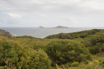 Picnic Bay Wilsons Promontory National Park