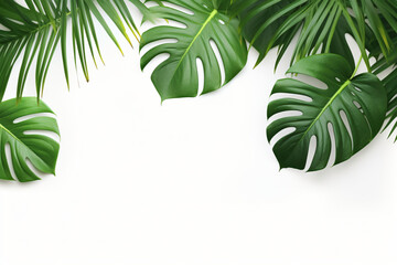 Fototapeta na wymiar Photo green tropical palm leaves monstera on white background Generative AI