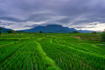 beautiful morning view from Indonesia of mountains and tropical forest