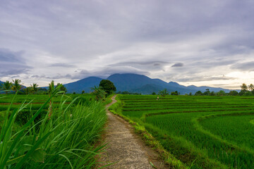 beautiful morning view from Indonesia of mountains and tropical forest