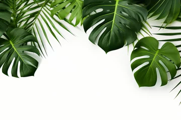 Fototapeten Photo green tropical palm leaves monstera on white background Generative AI © yuniazizah