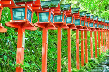 京都　新緑が美しい貴船神社（京都府京都市）
Kyoto　Kifune Shrine with beautiful fresh green（Kifune Jinjya Shrine) (Kyoto City, Kyoto Prefecture, Japan)
