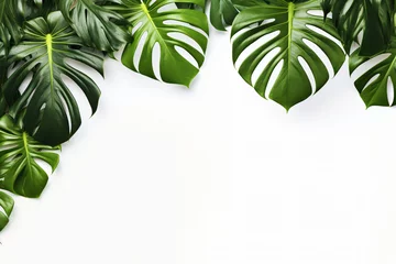 Tuinposter Photo green tropical palm leaves monstera on white background Generative AI © yuniazizah