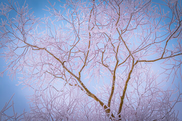 Mustvee, Peipus lake -18 degrees