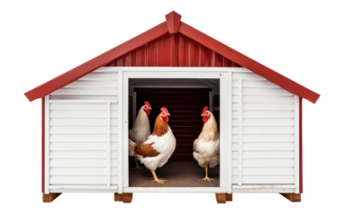 Enhance Poultry Care with an Automated Chicken Coop Door for Effortless Operation on a White or Clear Surface PNG Transparent Background