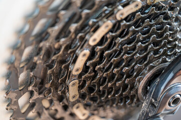 Detail of twelve speed cassette with chain