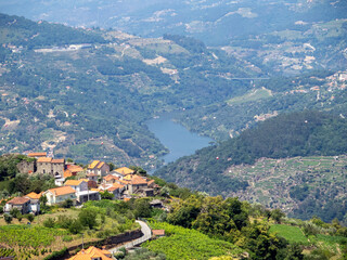 Viewpoint over the Duero River and the vineyards on its banks. In the background the Ermida bridge. Resende, Portugal. - obrazy, fototapety, plakaty