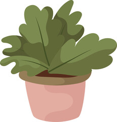Single Hand draw indoors plant with isolated on white. Pink, green colors. Houseplant in doodle style. Vector illustration for postcards, wrapping, banners, package and patterns.