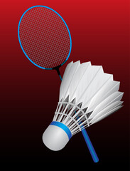 badminton sport