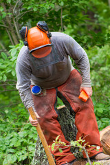 Obraz premium Sustainable logging in Russell Springs Kentucky
