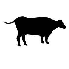 Cow silhouette in PNG format