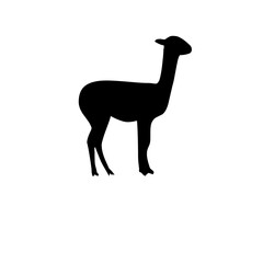 Camel silhouette in PNG format