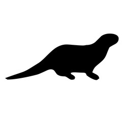Sea lion silhouette in PNG format