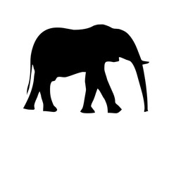 Elephant silhouette in PNG format