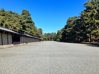 青空に映える美しい京都御苑