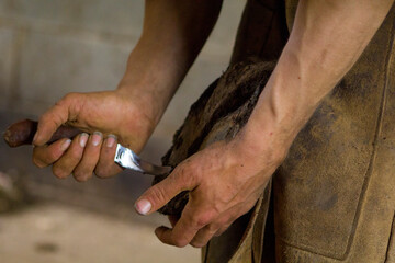 Hands fitting a horseshoe on a horse - Farriery. 