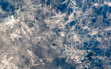 Close-up of snowflakes on a blue background. Macro