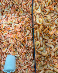 Shrimp on the counter in the market as a background