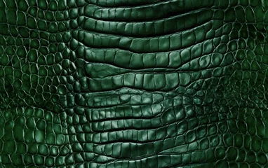 Fotobehang Distinctive Green Crocodile Pattern © sitifatimah