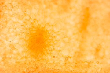 Microscopic shot of a yellow  watermelon as an abstract background