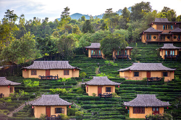 Ban Rak Thai, Mae Hong Son resort in green tea plantation on the hill and lake at  village, chinese style hotel and resort, famous tourist attractions is another landmark of North Thailand. 