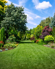 garden view in summer