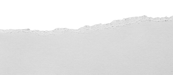 torn blank pages with uneven texture edges. set of ripped white paper sheets png isolated on...