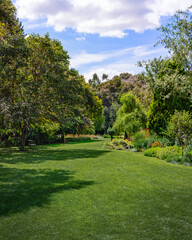 garden view in summer