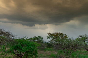 Safari under stormy skies in South Africa in the Burgersfort region