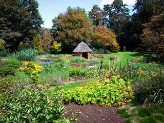 garden view with garden room