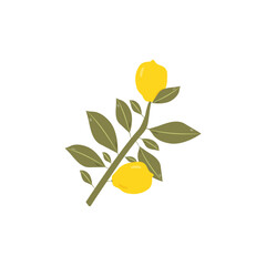 Lemon branch, fresh lemons. Citrus fruits, vitamin C. Flat vector illustration isolated on white background, suitable for print or web.