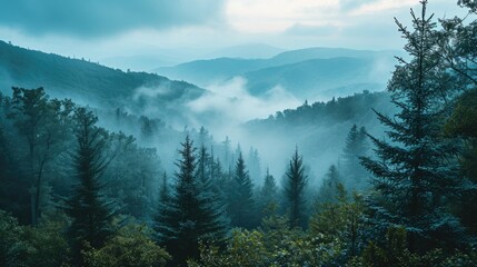misty morning view of the Appalachian Mountains, serene atmosphere, soft natural light, gentle fog swirling around peaks, soft blues and greens, untouched wilderness.